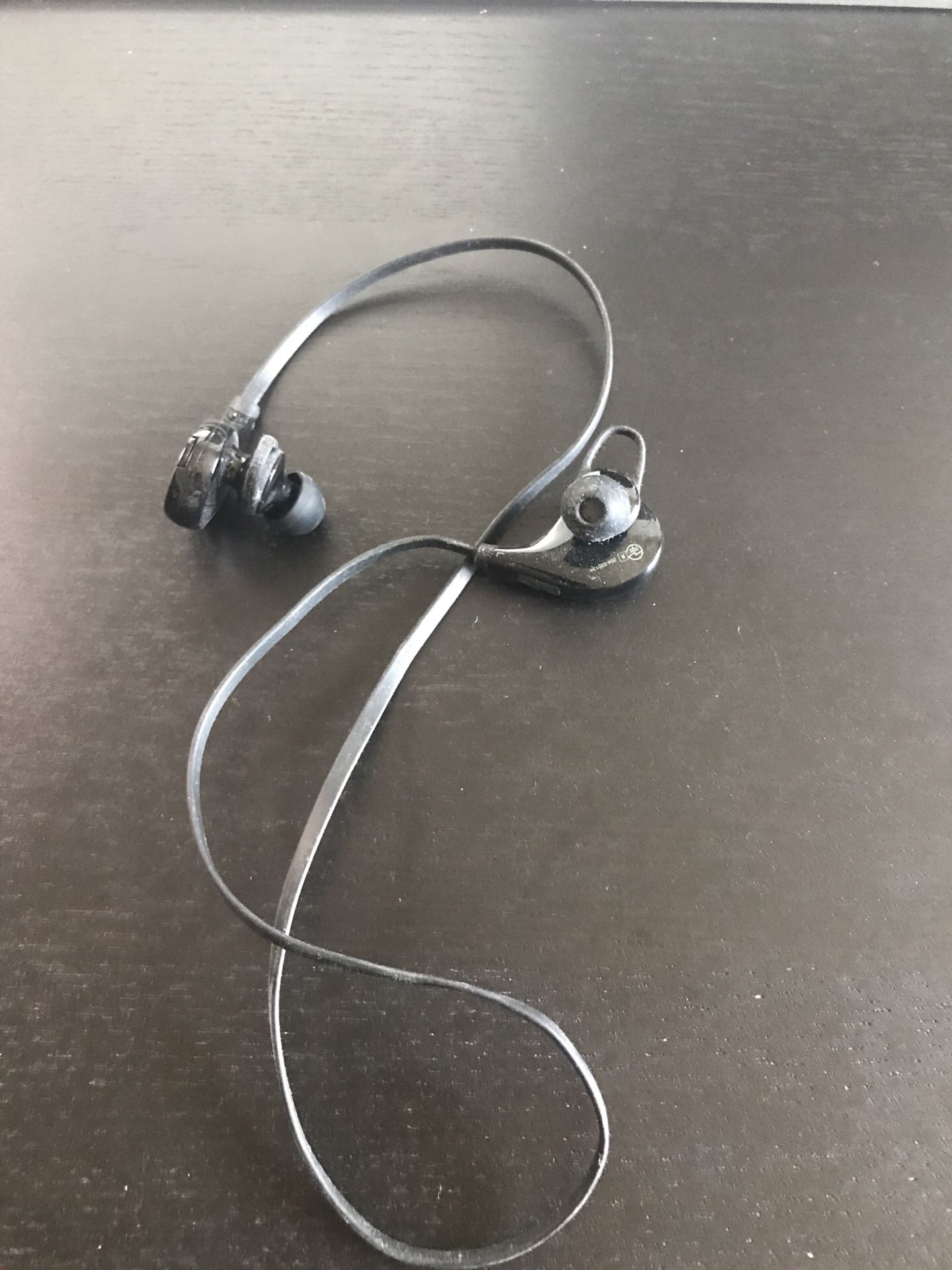 sports earbuds headphones