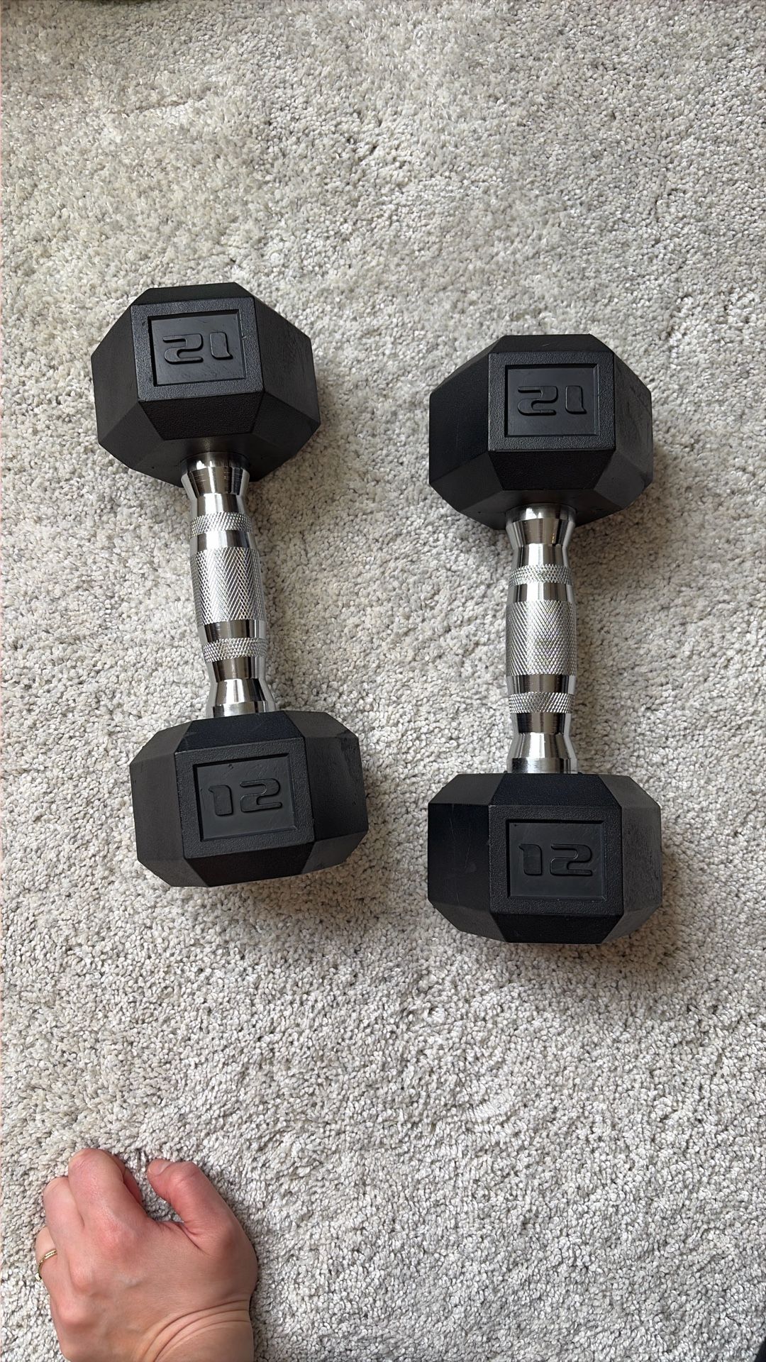 HOLD: 12lb Dumbbells 