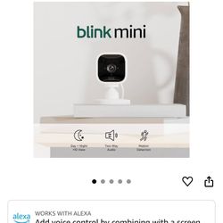 Blink Mini Camera X2