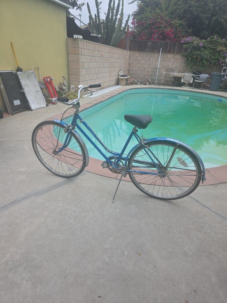 Vintage Schwinn Cruiser Bike