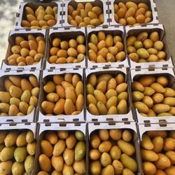SWEET MANILA MANGOES $10. 16 Mangoes In Box