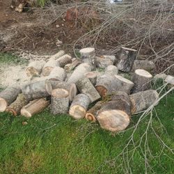 FREE firewood rounds