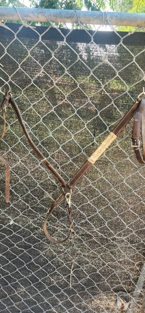 Breast Collar And Reins Set.