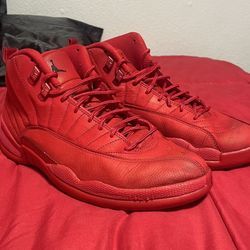 Nike Air Jordan 12