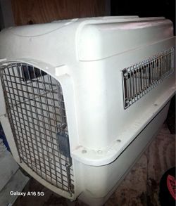 Kennel