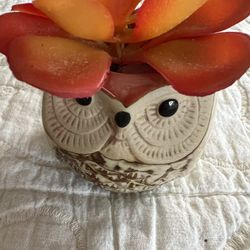 Ceramic Owl Planter W/ Faux Succulent 