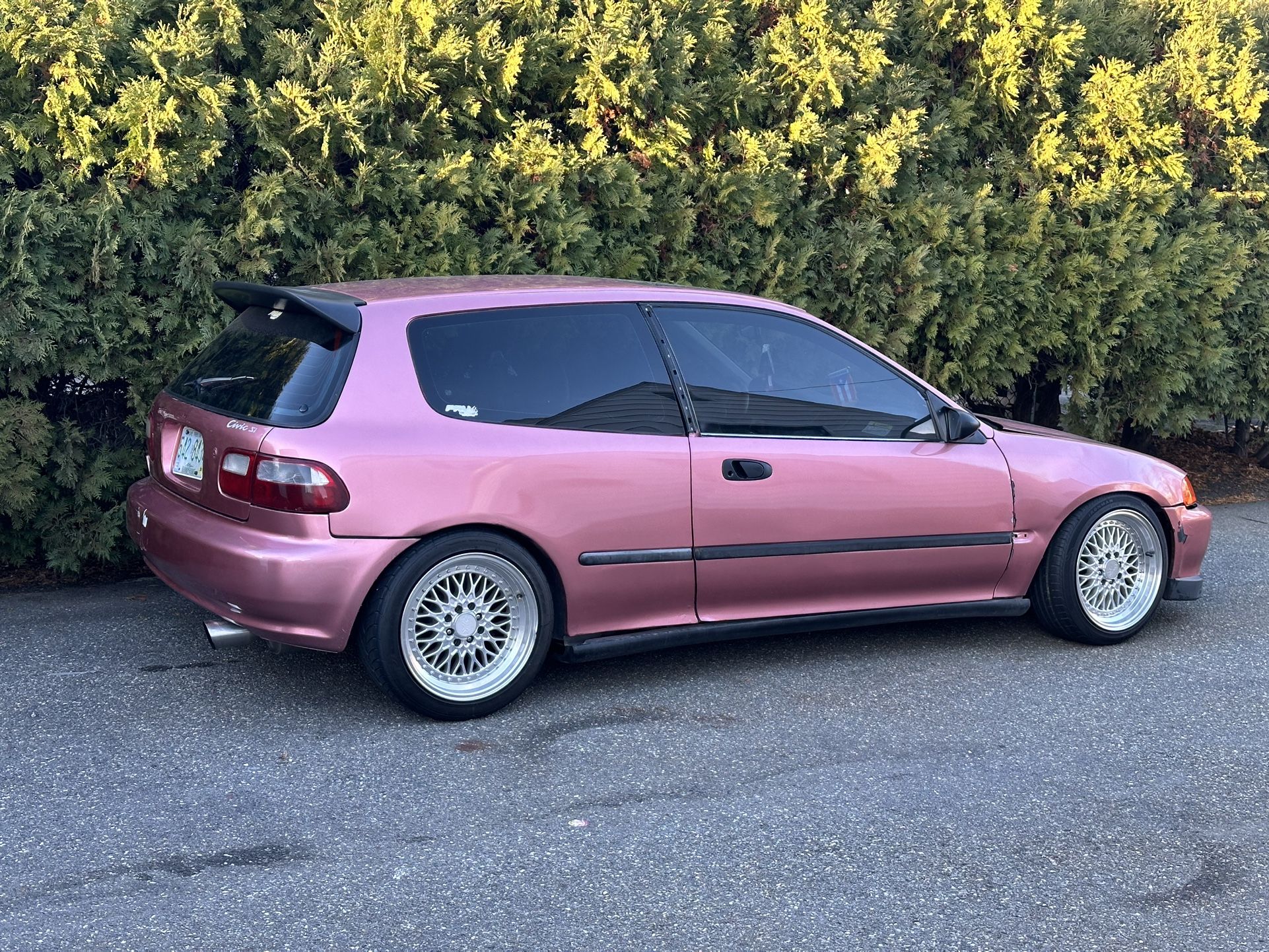 Eg Si Hatch