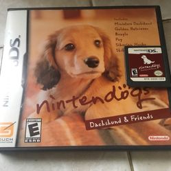 Nintendo DS
