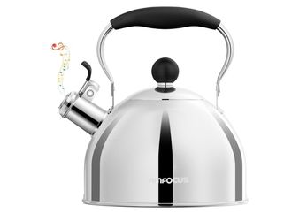 Tea Kettle, 2 Quart Stainless Steel
