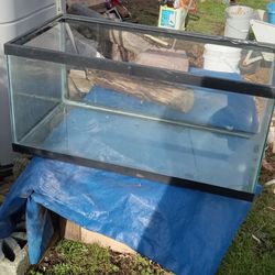 Aquarium 