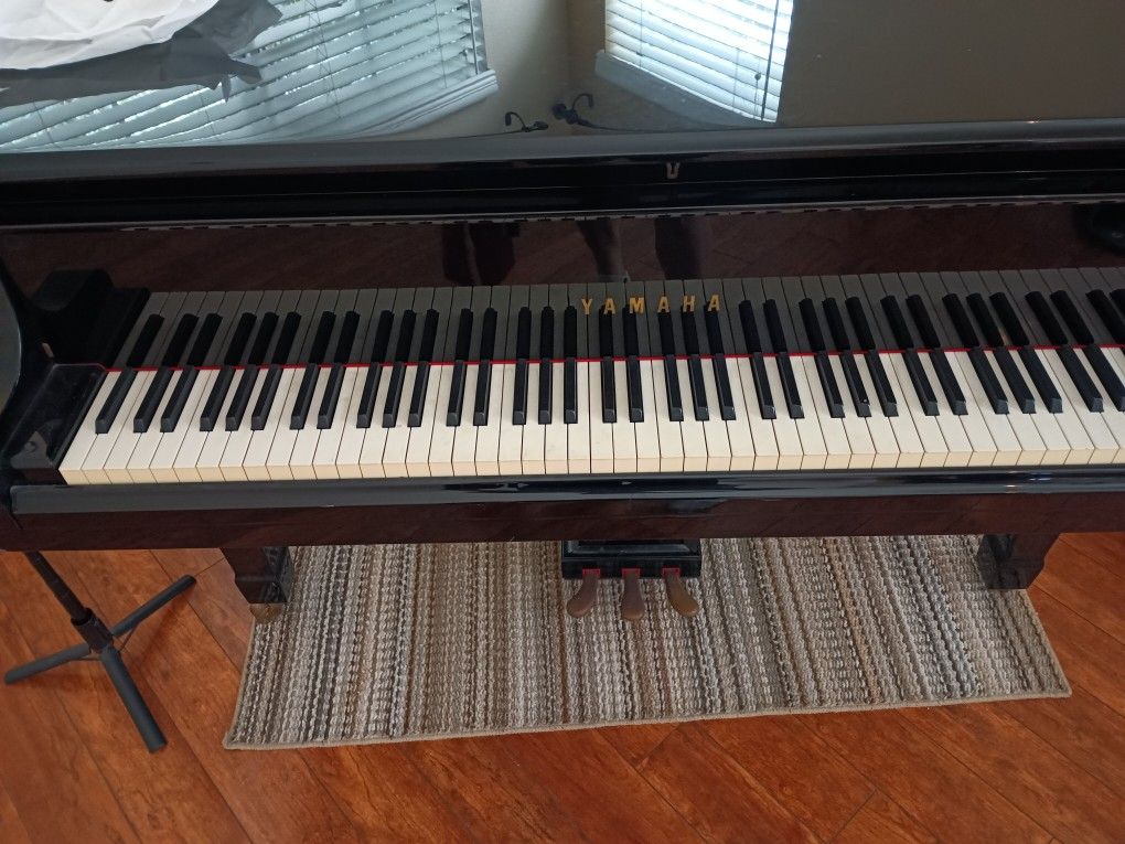 Yamaha C5 Grand Piano