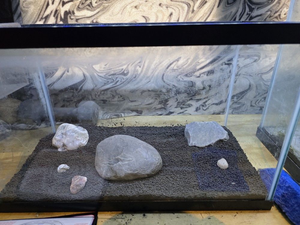 Multiple Fish Tanks For Sale