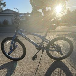 Chrome Genesis Bmx Bike