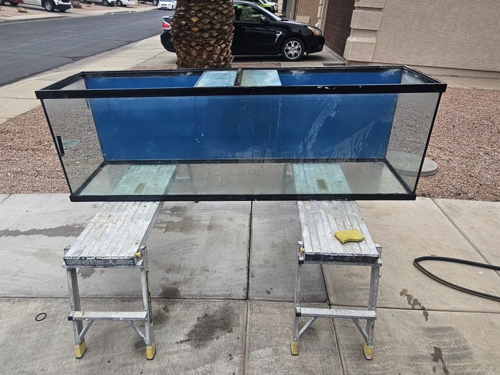 Fish Tank