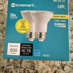 Light Bulbs 