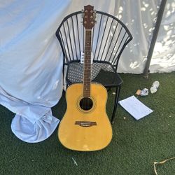 Suzuki Acoustic 