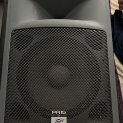 2 PV PR15 Speakers 