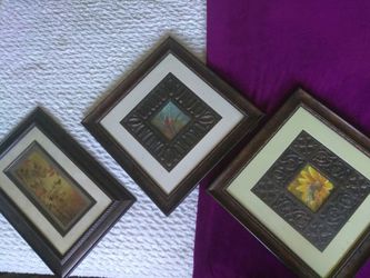 Framed pictures