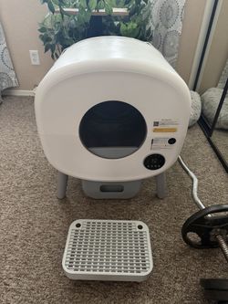 Cat litter box automatic