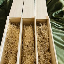 Reptile Carrier Or Living Area