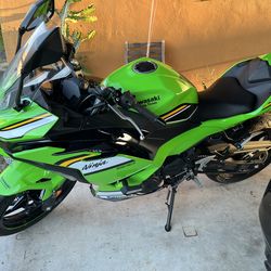 2025 ninja 500 KRT SE