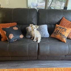 Electric "Loveseat" Couch