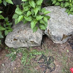 Rocks 