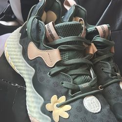 James Harden 6s (size 11)