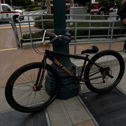 Fast Ripper 29inch