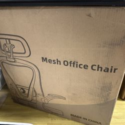 Home/Office Ergonomics Chair (New)