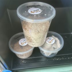 Reptiles Feeder