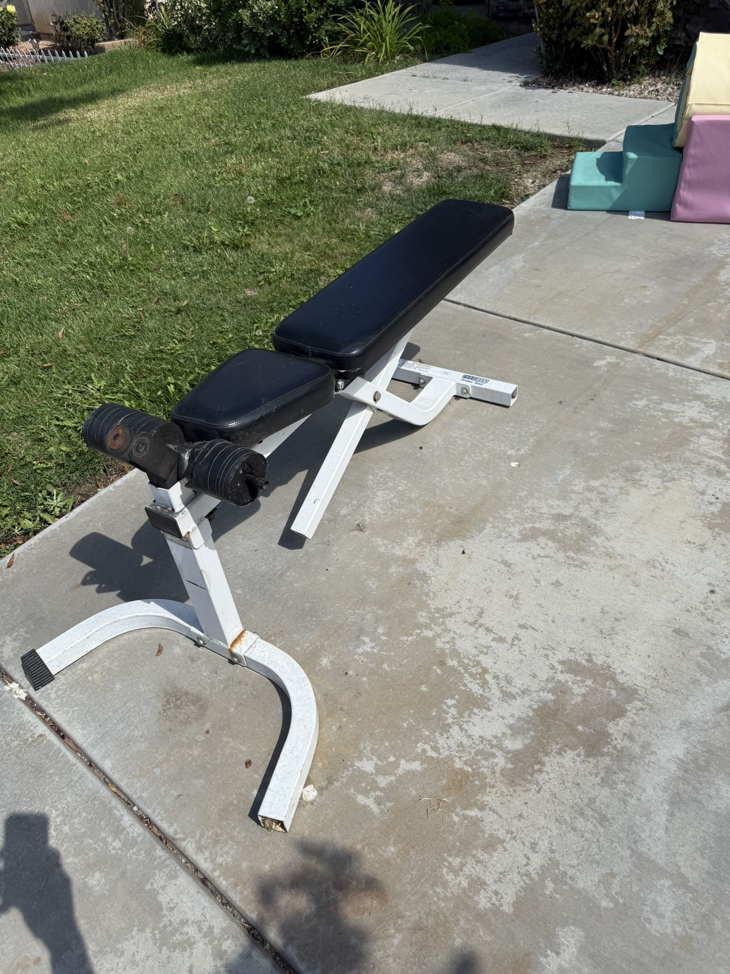 Workout Bench