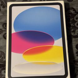 iPad (A16) Wi-Fi + Cellular