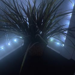 I’m Just 14 Tryna Get Money For My Prom Suit On The 25th