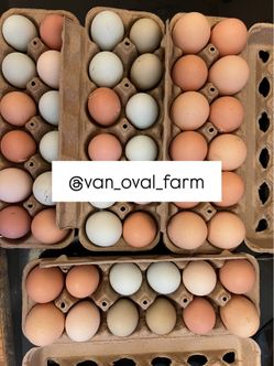 Eggs; local, fresh & unwashed