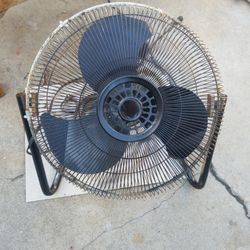 Fan