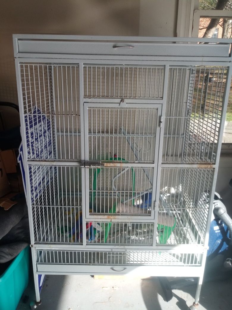 Bird Cage