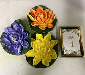 Beautiful  water Lilies and Table numbers