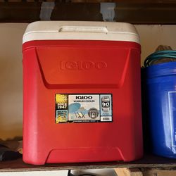 Igloo Cooler 