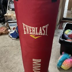 Everlast MMA Punching Bag