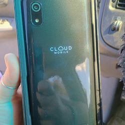 Government Phone With Service On It Already