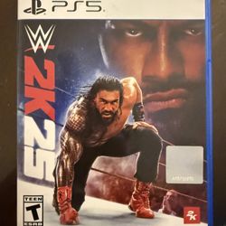 WWE Game