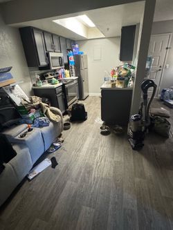 Professional cleaner