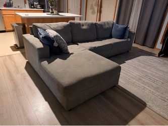Love seat coach