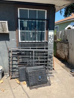 Jaulas para perros y solución para pulgas y garrapatas