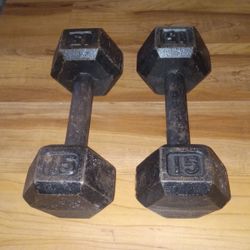 2 - 15lb Dumbbells 