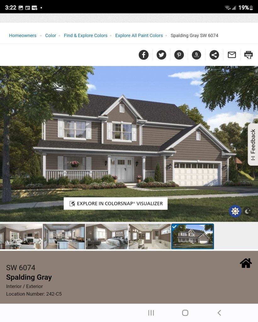 Pintura Nueva Y Primer