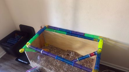 100 tubes