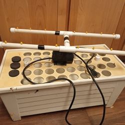 Clone Box With Fountain And Pump