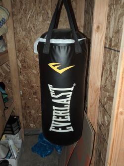 Everlast punching bag